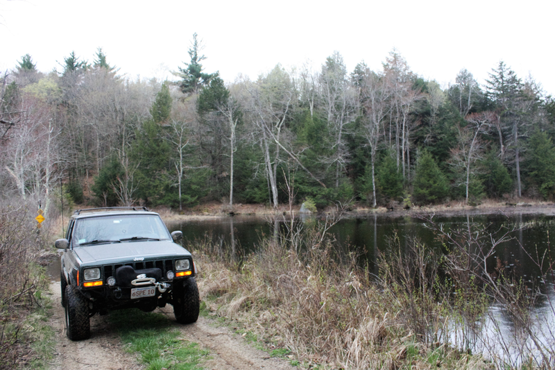 Illustration for article titled Jeeps in the Woods.